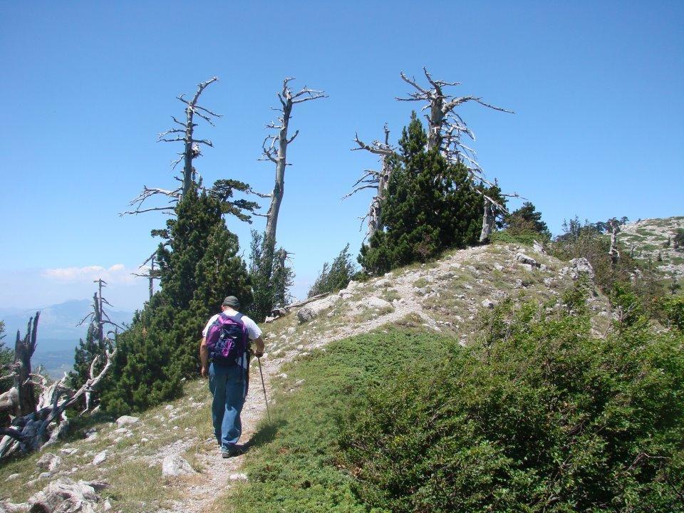 Montagne Rocciose Panzió Frascineto Kültér fotó